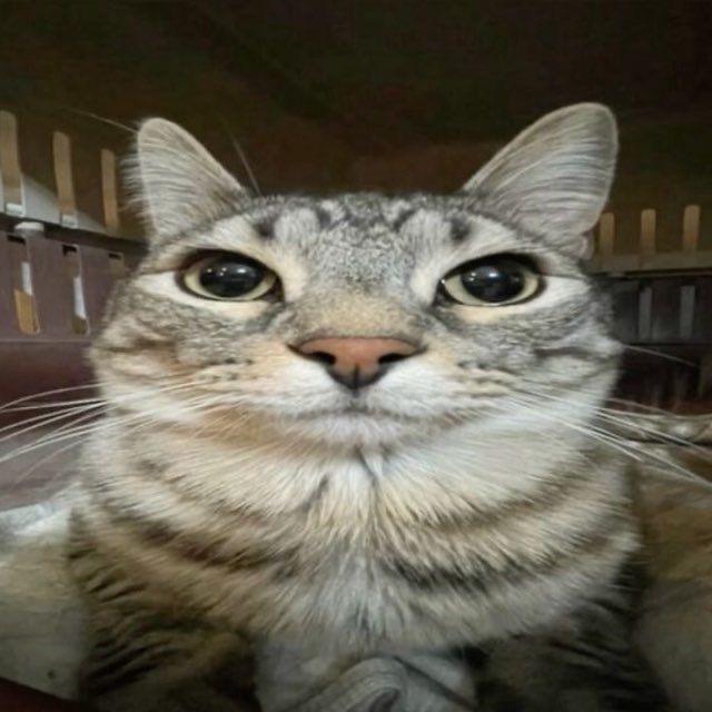 Fai